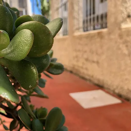 Bed & Breakfast La Feluca